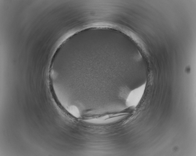 X0000116871229201002021120