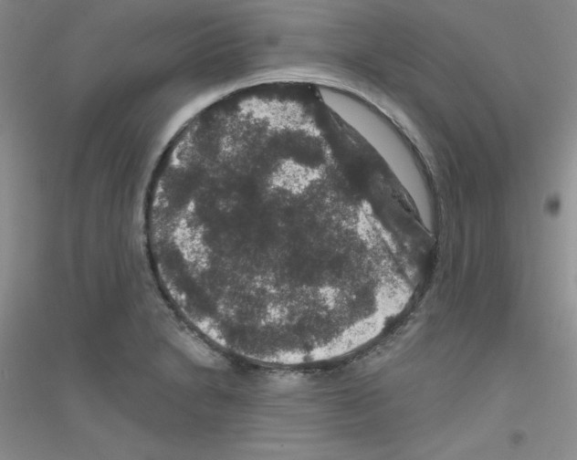 X0000116871230201002021120