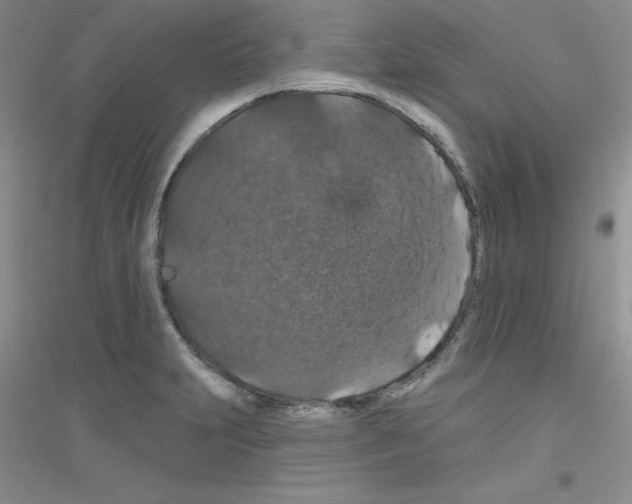 X0000116871231201002021120