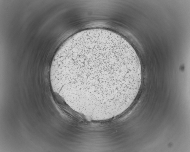 X0000116871233201002021120
