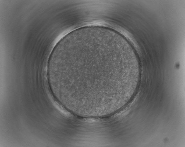 X0000116871234201002021120
