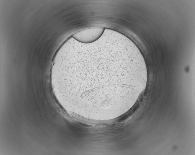 X0000116871236201002021120
