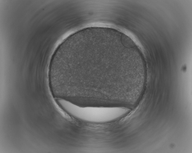 X0000116871237201002021120