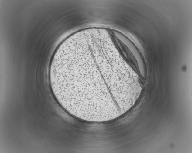 X0000116871238201002021120