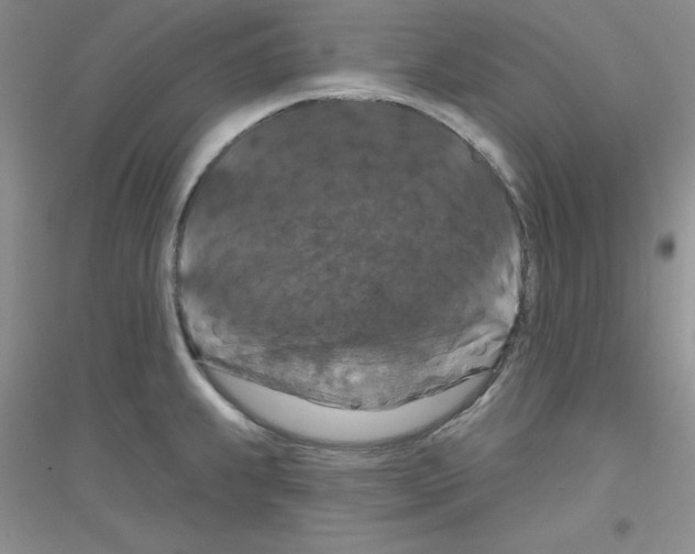 X0000116871239201002021120