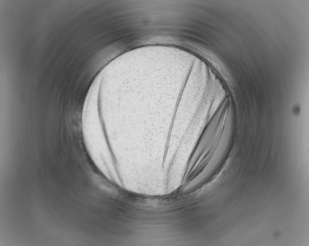 X0000116871241201002021120
