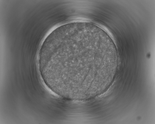 X0000116871243201002021120
