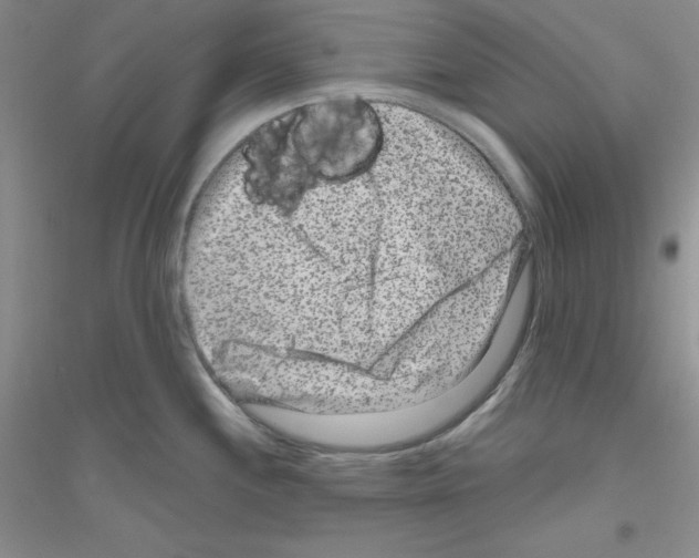 X0000116871244201002021120