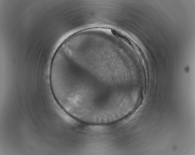 X0000116871246201002021120