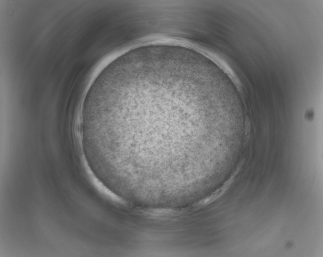 X0000116871247201002021120
