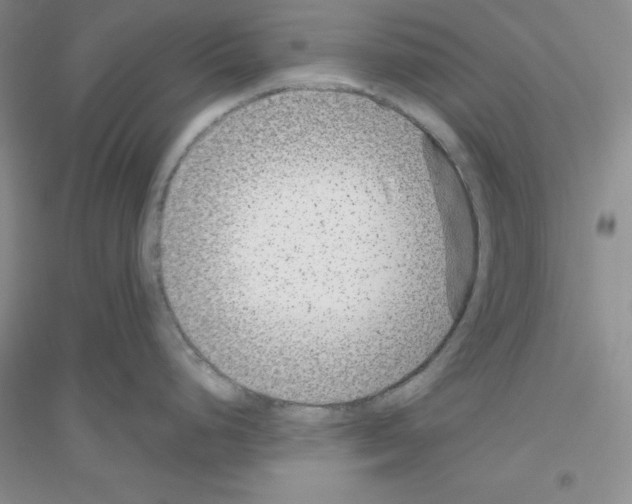 X0000116871248201002021120