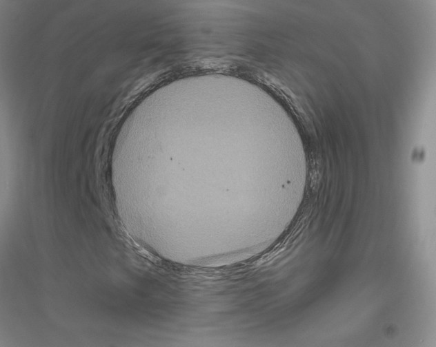 X0000116871249201002021120