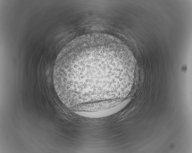 X0000116871250201002021120