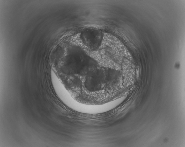 X0000116871251201002021120