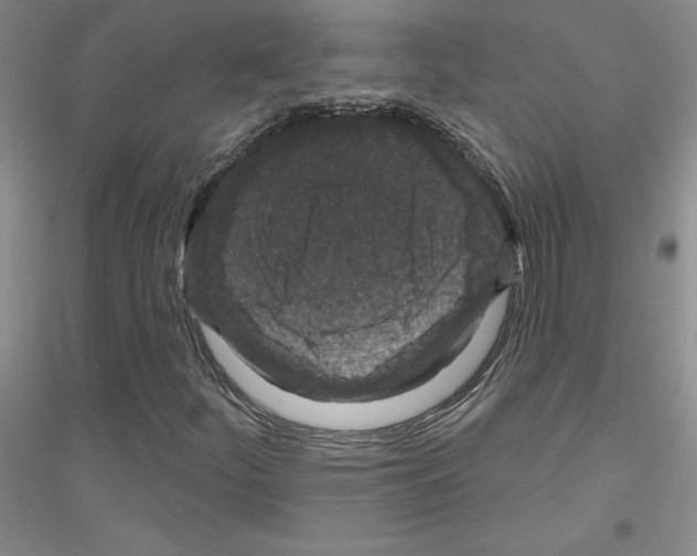 X0000116871252201002021120