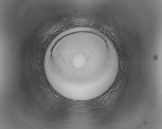 X0000116871253201002021120