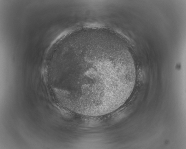 X0000116871254201002021120