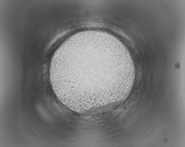 X0000116871255201002021120