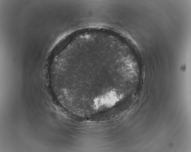 X0000116871256201002021120