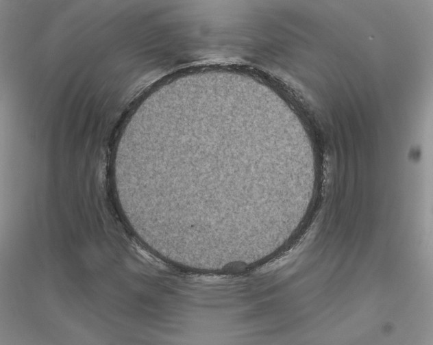 X0000116871257201002021120