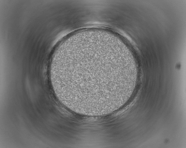 X0000116871259201002021120