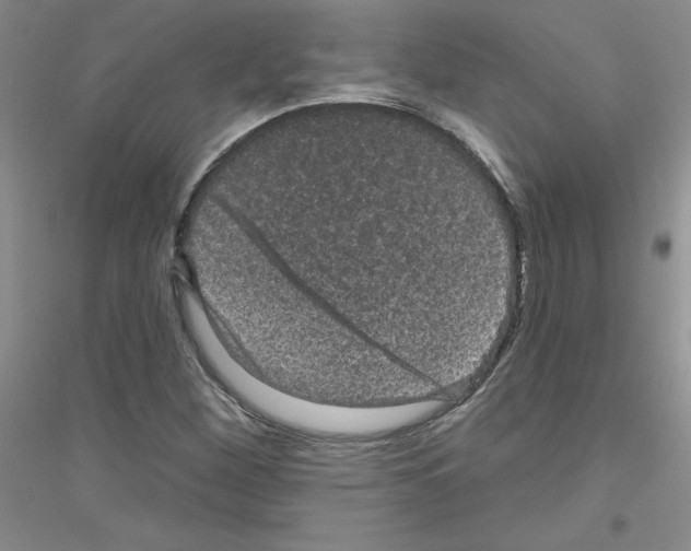 X0000116871260201002021120