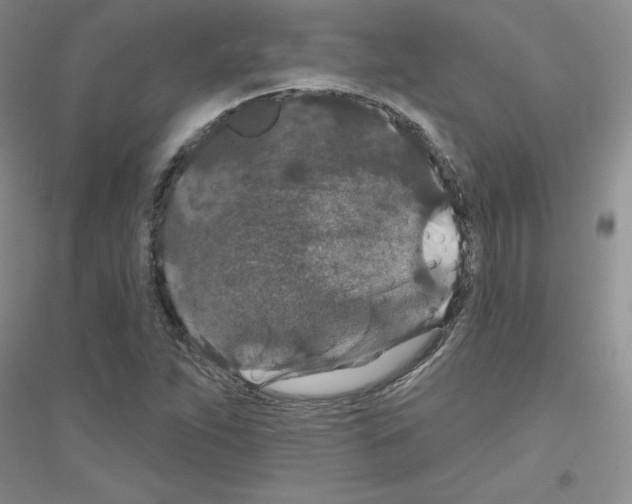 X0000116871263201002021120