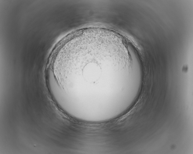 X0000116871264201002021120