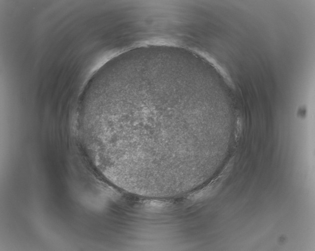 X0000116871266201002021120