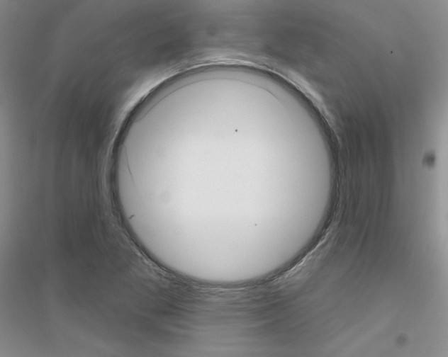 X0000116871269201002021120