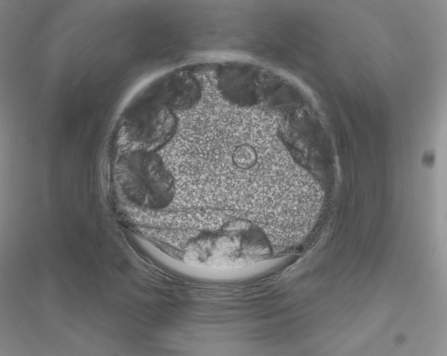 X0000116871271201002021120