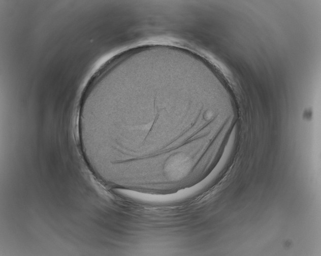 X0000116871272201002021120