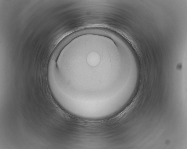 X0000116871273201002021119