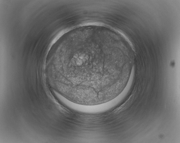 X0000116871274201002021119