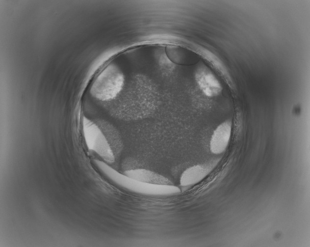 X0000116871275201002021119