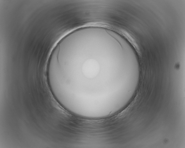 X0000116871276201002021119