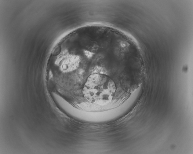X0000116871279201002021119