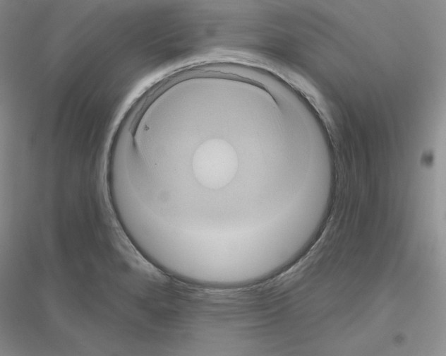 X0000116871280201002021119