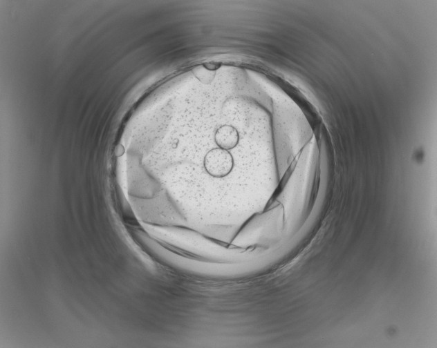 X0000116871282201002021119