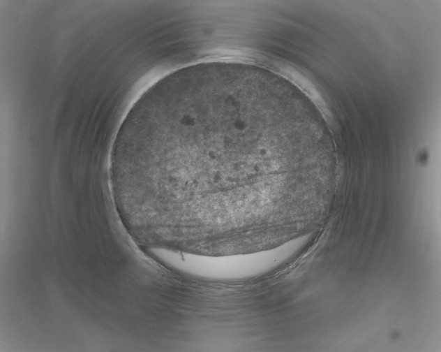 X0000116871283201002021119