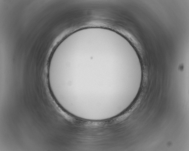 X0000116871286201002021119