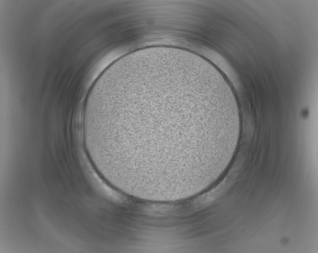 X0000116871290201002021119