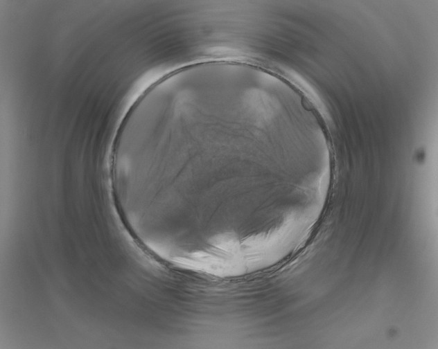 X0000116871291201002021119