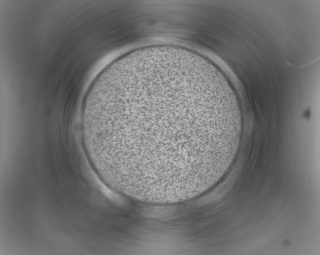 X0000116871294201002021119