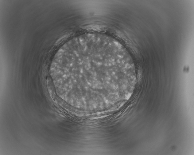 X0000116871297201002021119