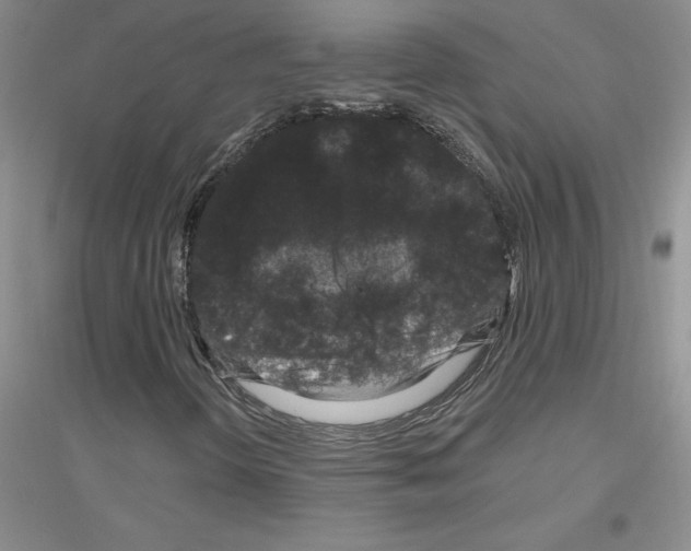 X0000116871298201002021119