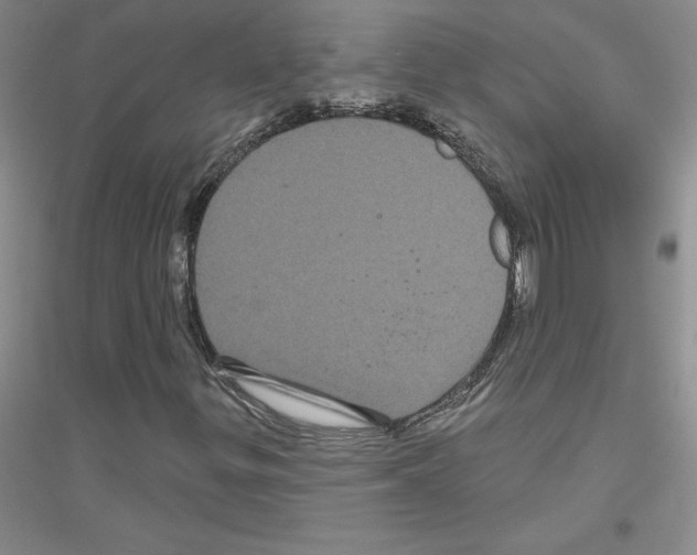 X0000116871299201002021119