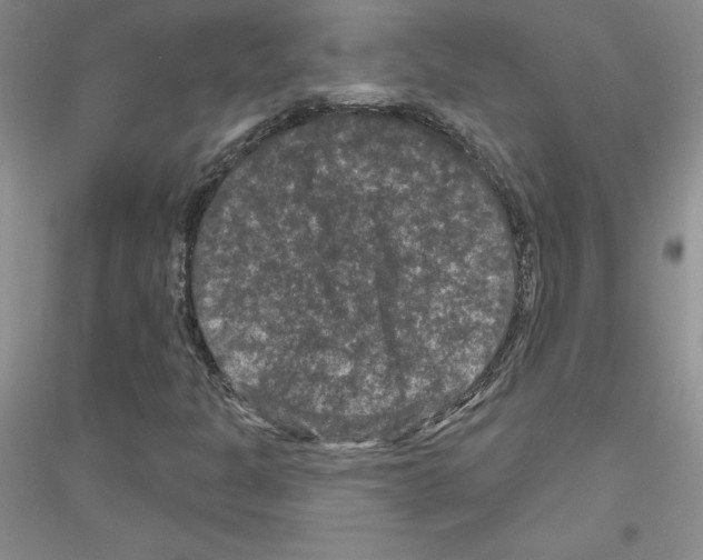 X0000116871301201002021119