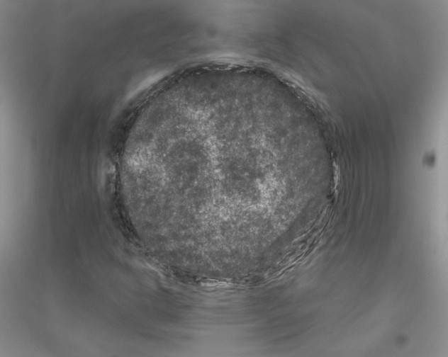 X0000116871302201002021119