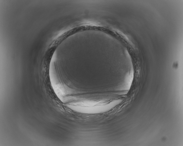 X0000116871303201002021119
